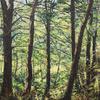 Forest Light
80 x 100 cm